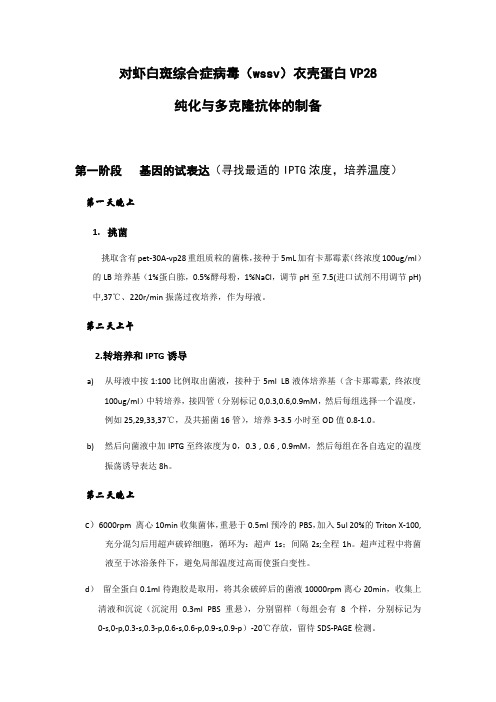 对虾白斑症病毒衣壳蛋白的原核表达,纯化与多克隆抗体的制备