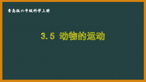 六三制青岛版六年级科学上册第三单元3.5《动物的运动》课件