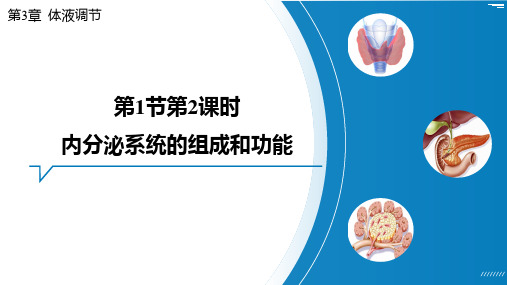 3.1.2 内分泌系统的组成和功能(共24张PPT)