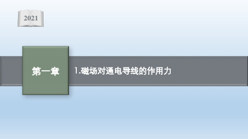 新教材2021-2022学年高中物理人教版选择性必修第二册课件：第一章 安培力与洛伦兹力(付)