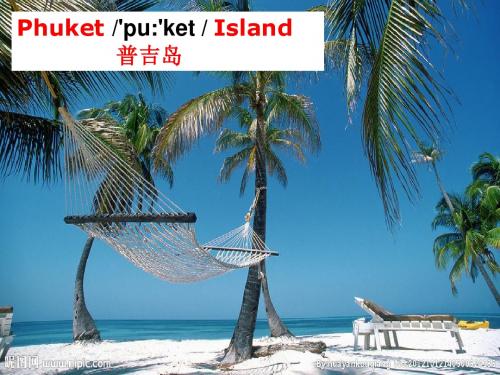 新鲁教版八年级英语上册Unit 3 Where would you like to go on vacation 优质课课件