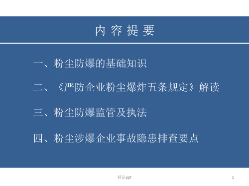 粉尘防爆ppt课件