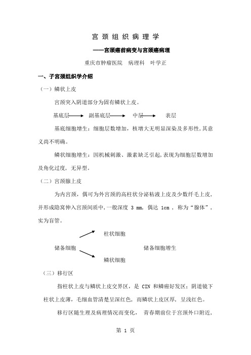 宫颈组织病理学12页word