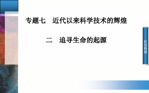 高中历史 专题7.2 追寻生命的起源课件 人民版必修3