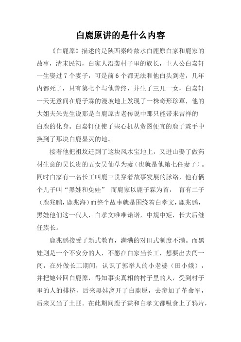 白鹿原讲的是什么内容