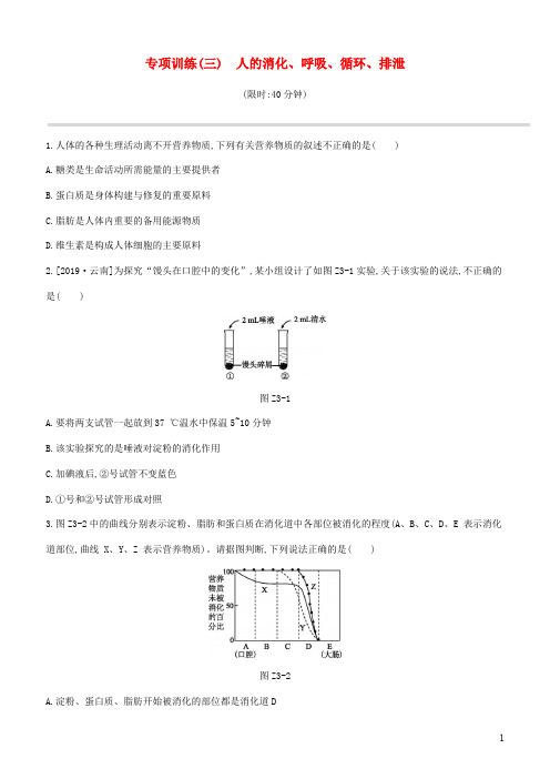 新课标中考生物复习专项训练人的消化呼吸循环排泄