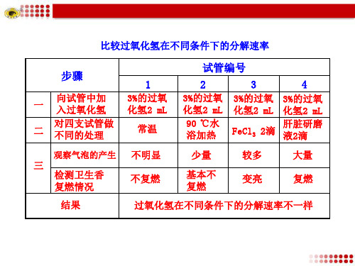 比较过氧化氢在不同条件下的分解速率