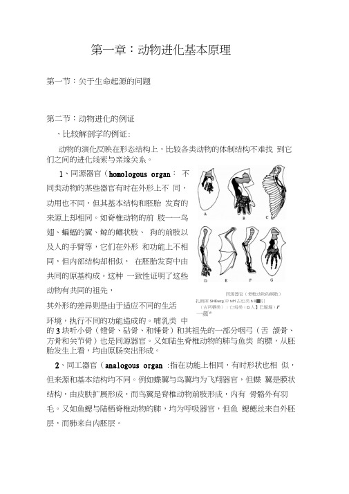 动物进化基本原理