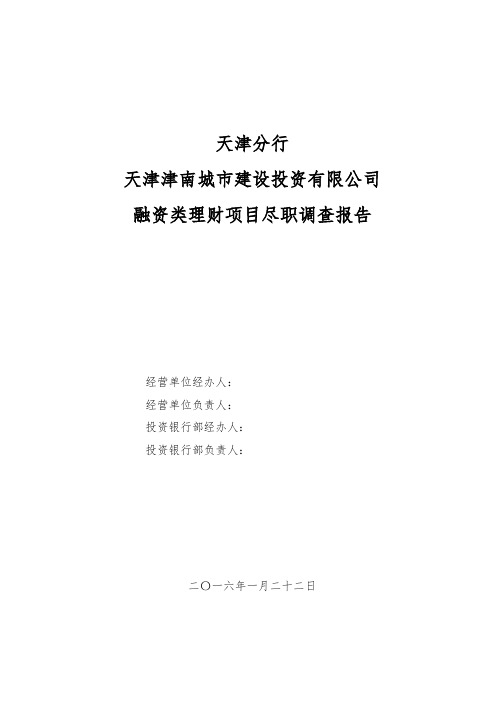 某投资有限公司融资类理财项目尽职调查报告