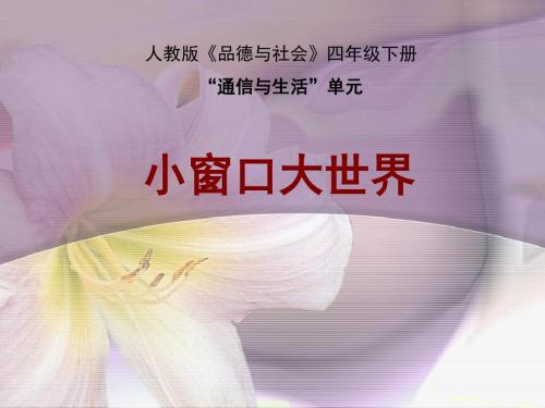 人教版小学品德与社会四年级下册小窗口,大世界-说课