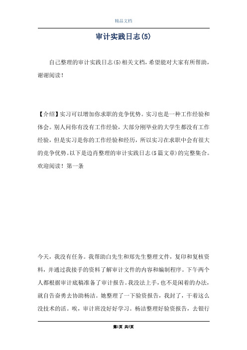 审计实践日志(5)