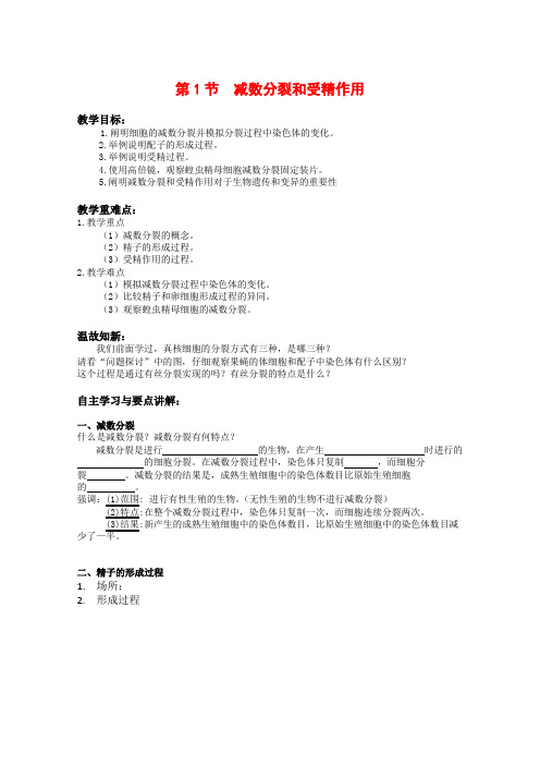 高中生物2.1 减数分裂和受精作用 学案(1) 新人教版必修2