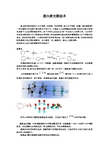 蛋白质偶联技术