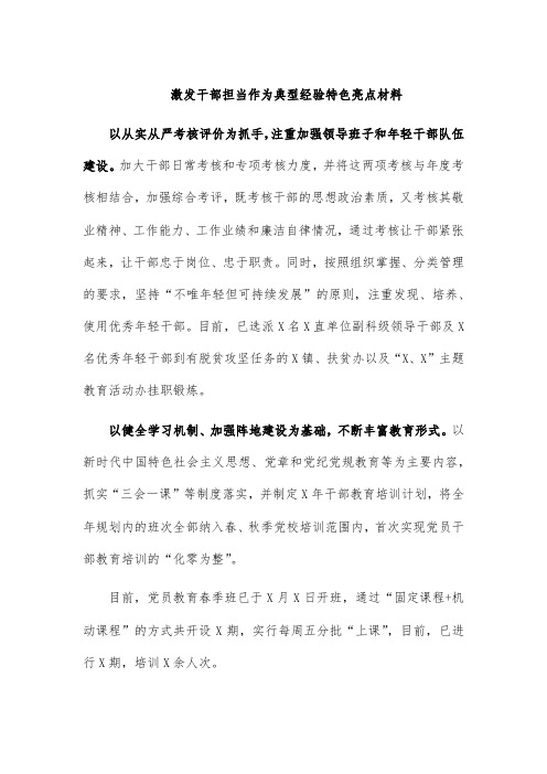 激发干部担当作为典型经验特色亮点材料