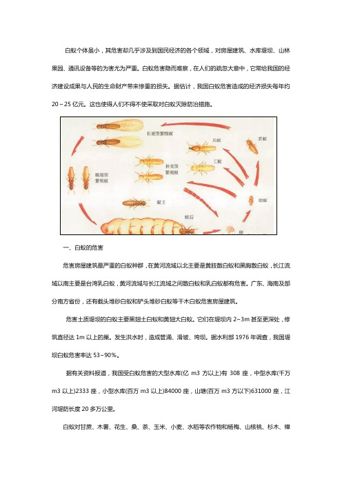 白蚁的危害和有效的防治方法