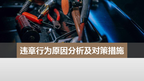 员工违章行为原因分析及对策措施(违章原因分析及对策,违章主要表现,事故原因,采取对策,过失预防对策)