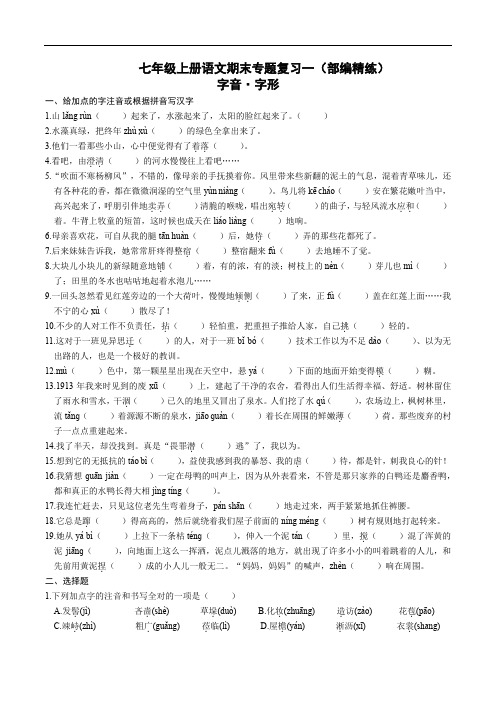 七年级上册语文期末专题复习一字音·字形(部编精练)