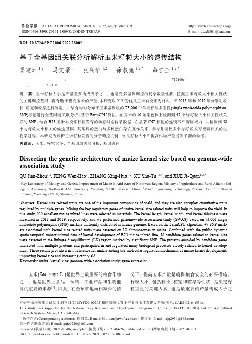 基于全基因组关联分析解析玉米籽粒大小的遗传结构