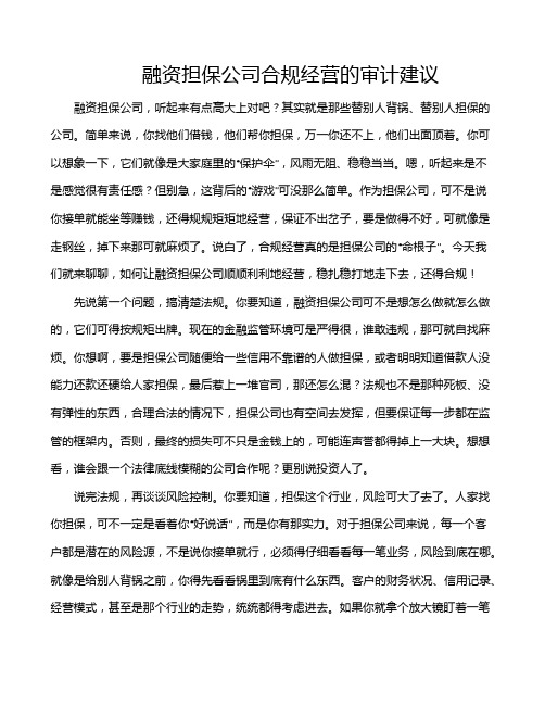 融资担保公司合规经营的审计建议