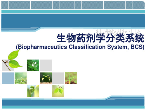 生物药学分类系统