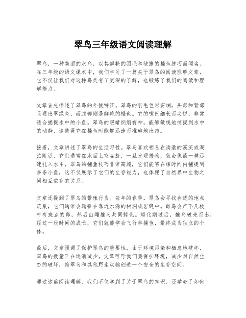 翠鸟三年级语文阅读理解