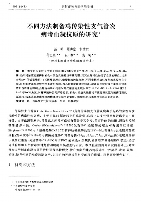 不同方法制备鸡传染性支气管炎病毒血凝抗原的研究