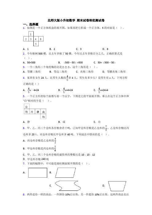 北师大版小升初数学 期末试卷培优测试卷