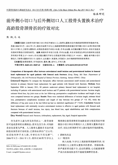 前外侧小切口与后外侧切口人工股骨头置换术治疗高龄股骨颈骨折的疗效对比