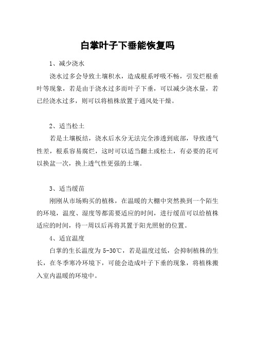 白掌叶子下垂能恢复吗