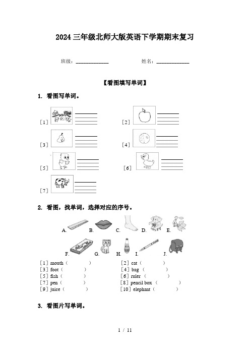 2024三年级北师大版英语下学期期末复习