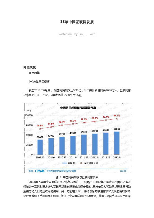 13年中国互联网发展