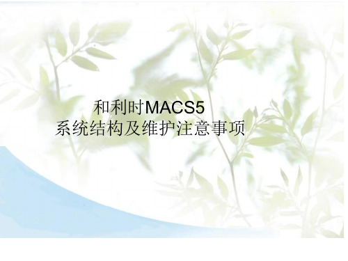 和利时MACSV系统结构及维护注意事项