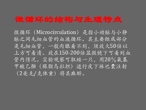 中医研究基础理论微循环的结构与生理特点 - 副本