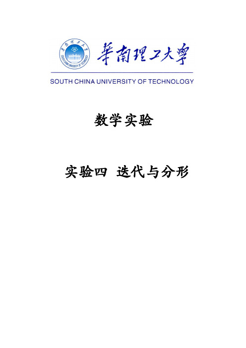 2020年华工数学实验实验报告 实验四迭代与分形