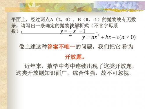 中考数学中的开放性问题(新编201908)