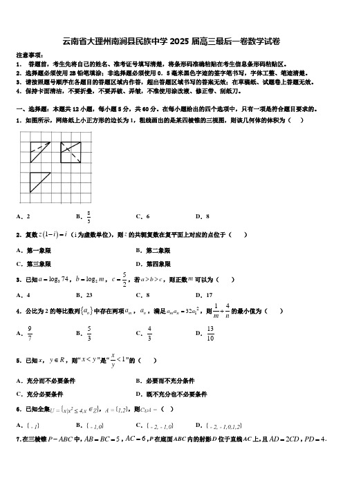 云南省大理州南涧县民族中学2025届高三最后一卷数学试卷含解析