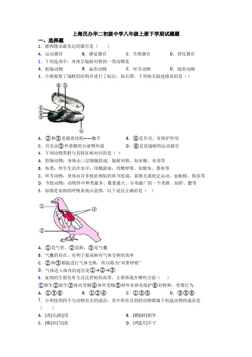 上海民办华二初级中学八年级上册下学期试题题