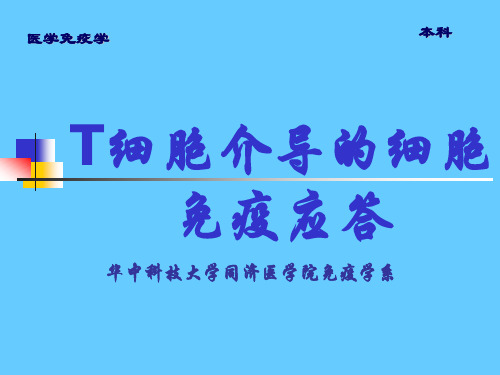 11.3t细胞介导的细胞免疫应答(ppt文档)