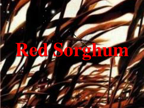 Red Sorghum