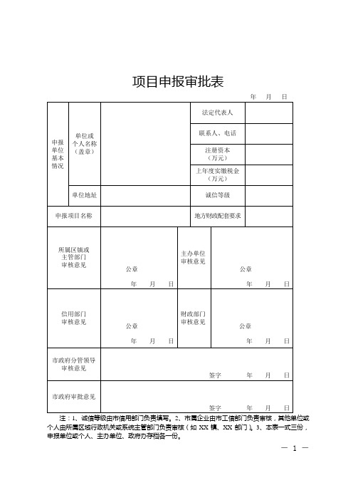 项目申报审批表