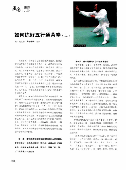如何练好五行通背拳(上)