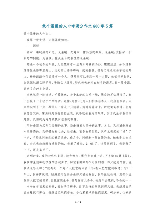 做个温暖的人中考满分作文800字5篇