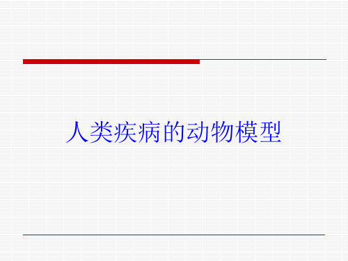 人类疾病的动物模型培训课件