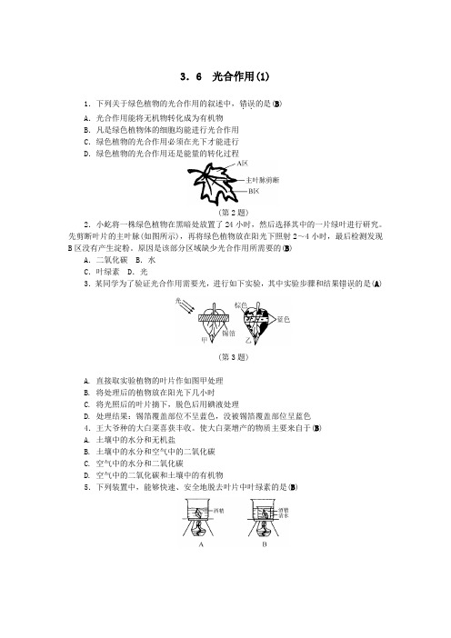 八年级科学下册3-6光合作用1同步练习新版浙教版