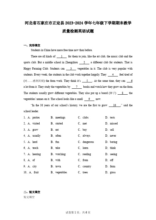 河北省石家庄市正定县2023-2024学年七年级下学期期末教学质量检测英语试题