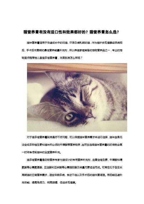 猫营养膏有没有适口性和效果都好的？猫营养膏怎么选？  图文