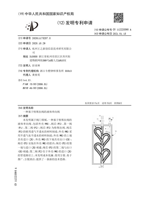 一种基于特斯拉阀的液体单向阀[发明专利]