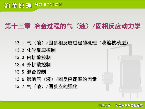 冶金原理气固反应动力学讲解