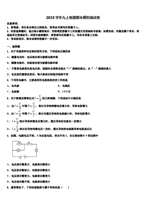 山东省泰安市新城实验中学2023学年九年级物理第一学期期末考试模拟试题含解析