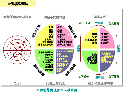 大脑分布图